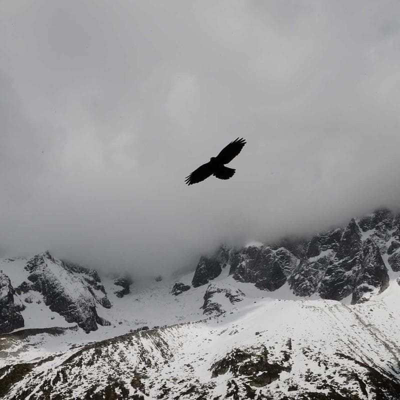 Vue de détail de l'îlot de cuisine