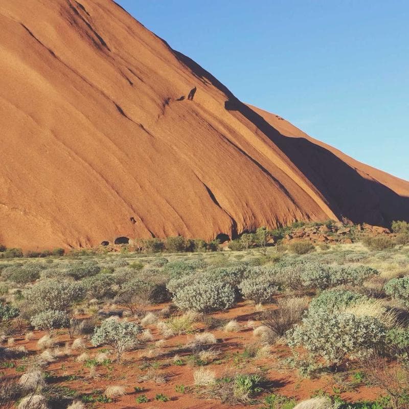 Nouvelle façade avec bardage bois