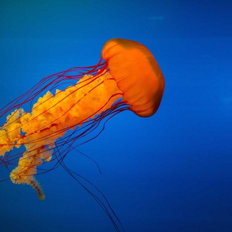 Vue de nuit de la maison éclairée