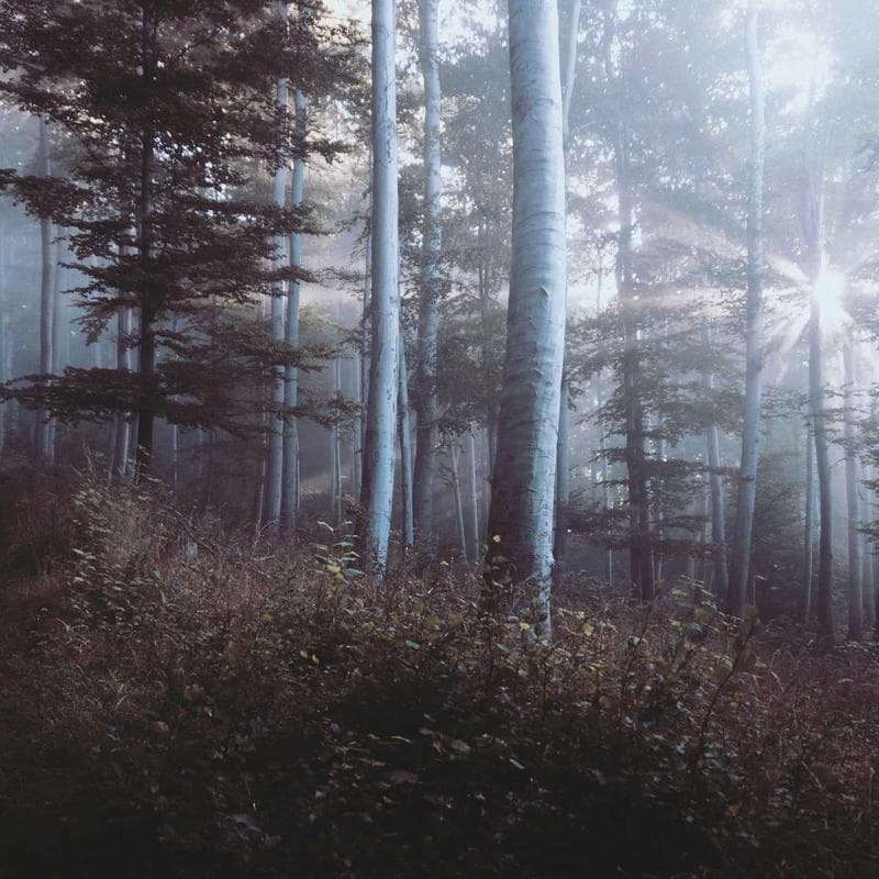 Vue sur l'extension depuis l'extérieur